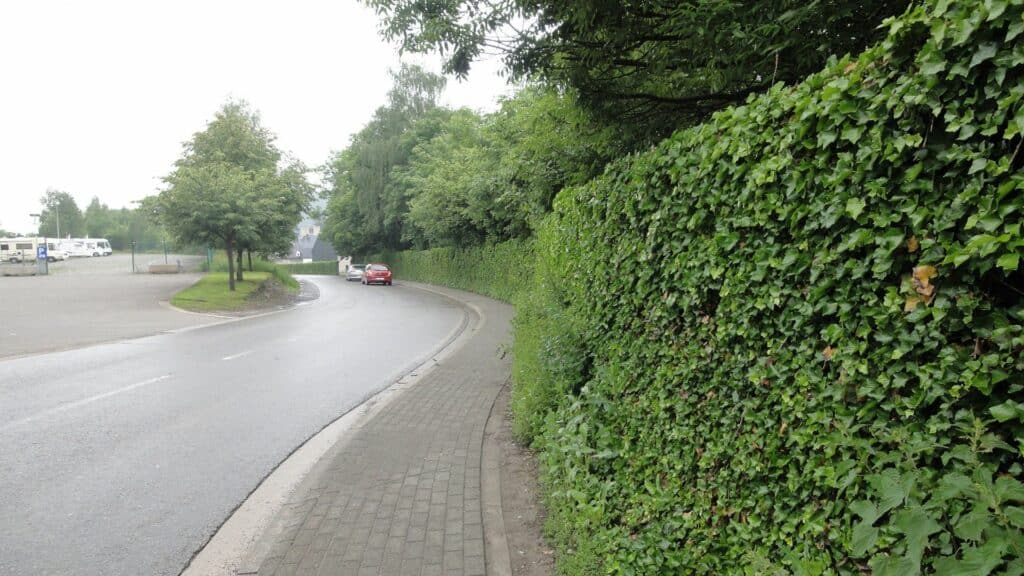 Begruente-Laermschutzwand-entlang-einer-kurvigen-Strasse