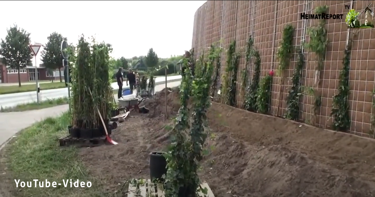 Bepflanzung-Raesfeld-rau