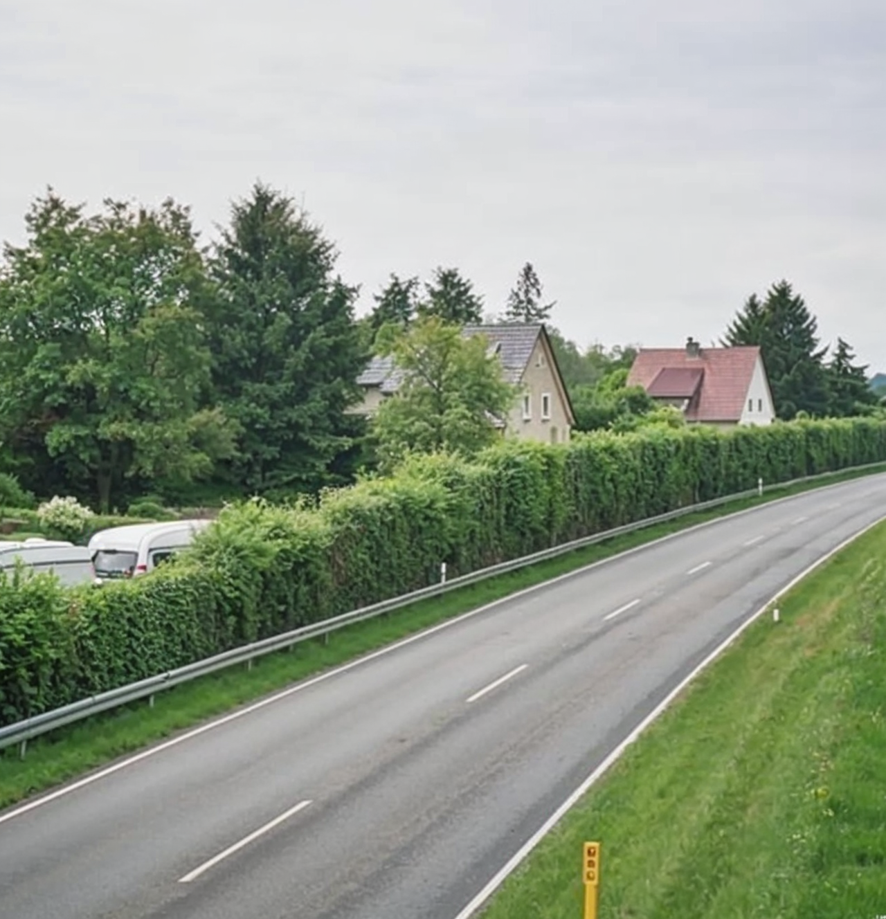 Laermschutzwand-begruent-an-schnellstrasse