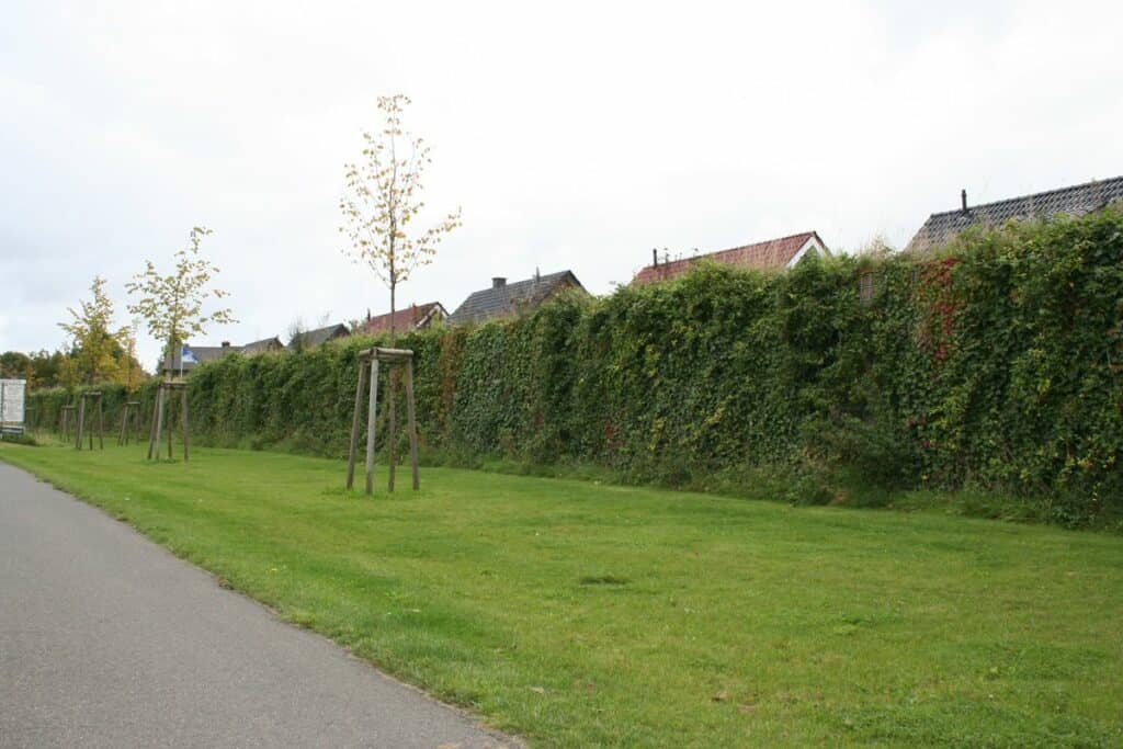 Urban-begruente-Laermschutzwand-vor-Siedlungshaeusern