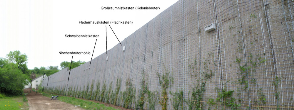 Großraumnistkasten-und-Fledermauskaesten