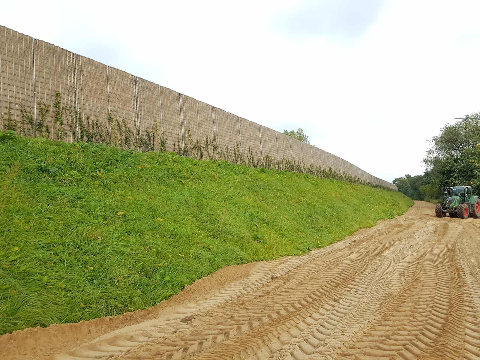 Rau-Klimawand-Pinneberg