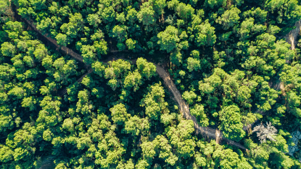 faq-nachhaltigkeit-01