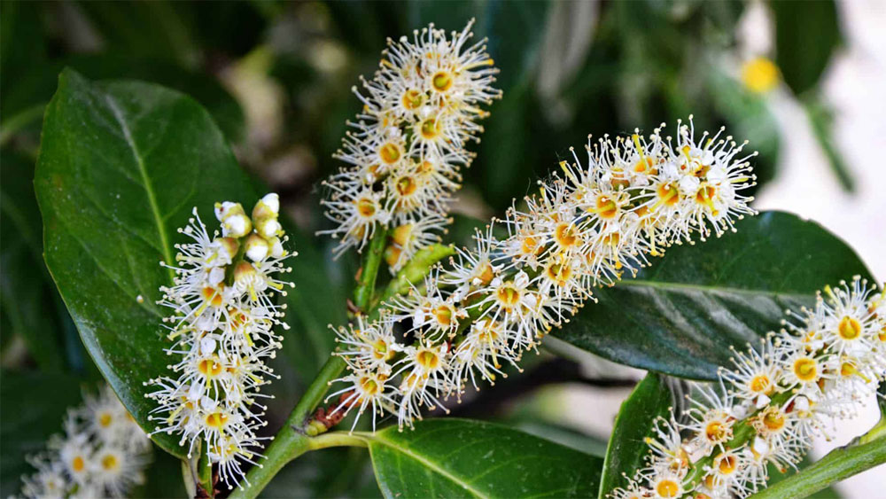 faq-nachhaltigkeit-04