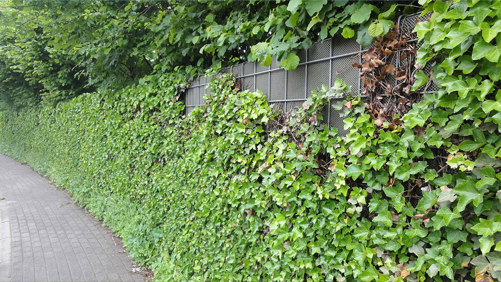 faq-nachhaltigkeit-08