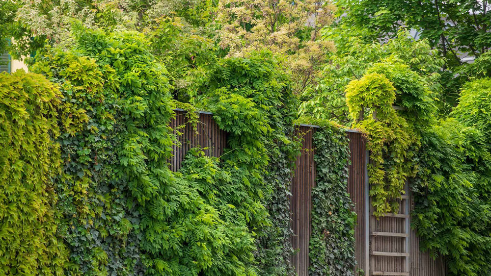 faq-nachhaltigkeit-10